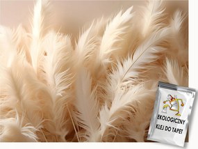 Fotótapéta Flizelina Dekoráció Toll Dekoráció Pihe-puha Scandi Boho 400x280 ragasztó