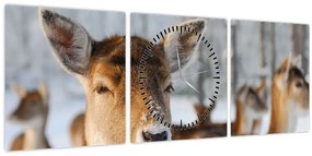 Kép - Szarvas (órával) (90x30 cm)