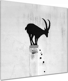 Vászonkép 80x80 Kozica Banksy Hegyi gazella Nincs magánélet Falfestmény