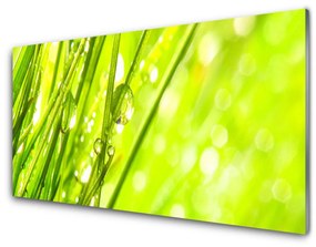 Modern üvegkép Nature csepp fű 120x60cm