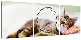 Kép - alvó cica (órával) (90x30 cm)