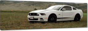 Képek 120x40 Fehér Ford Mustang