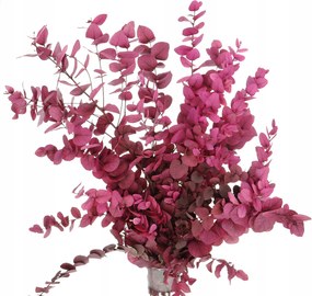 Stabilizált eukaliptusz Stuartiana rózsaszín csokor szárított levelek váza