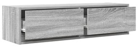 TV Szekrény Szürke Sonoma 100x31x25,5 cm Szerelt Fa