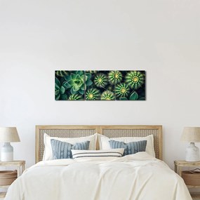 Kép - Kaktuszok (órával) (90x30 cm)