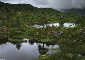Poszter 29,7x21cm Norvég fjord 5, Assaf Frank