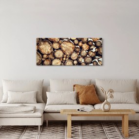 Kép - Fa a hóban (120x50 cm)