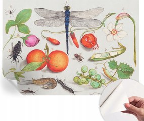 Fotótapéta Öntapadós tapéta a szobába Természeti illusztráció 312x219