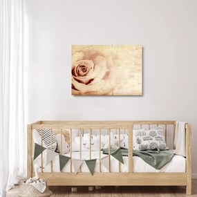 Kép - Rózsa virág szerelmeseknek (üvegen) (70x50 cm)