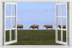 Poszterek 60x40 Juh legeltetés Bárányok