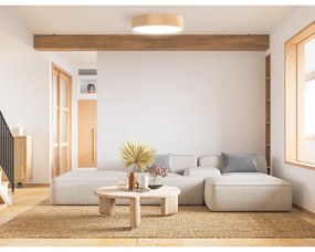 Fürdőszobai mennyezeti lámpa CLEO 4xE27/24W/230V IP54 á. 47,5 cm fenyő