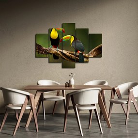 Ülő tukánok képe, Costa Rica (150x105 cm)