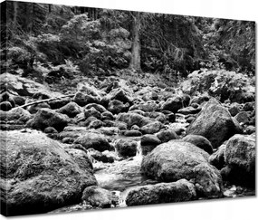 Vászonkép 40x30 Tátra Lengyel hegyek Kilátás