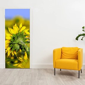Fotótapéta ajtóra - Napraforgó (95x205cm)
