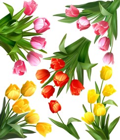 PIPPER. Falmatrica "Tulipánok"