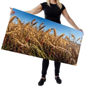 Wallplex konyhahátfal Grass (Méret: 60x240)