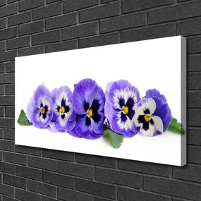 Vászonfotó Virágszirmok Pansies 140x70 cm