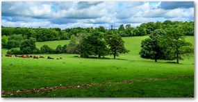 Fotótapéta üvegfalra Zöld dombok 140x70