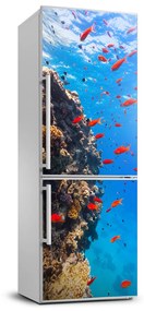 Dekor matrica hűtőre Korallzátony FridgeStick-70x190-f-89362751