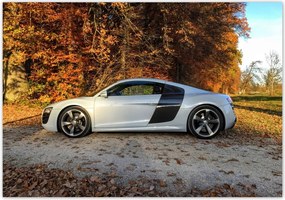 Fotótapéta flizelina 416x290 fehér Audi Tt