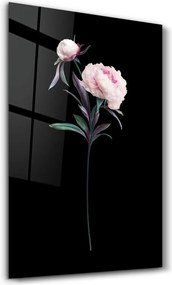 Üvegkép, 46×72 cm – OGLS-2095