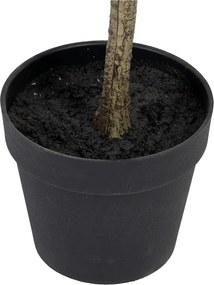 Eukaliptusz műnövény (magasság 180 cm) Eucalyptus – Ixia