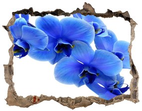 3d lyuk fal dekoráció Kék orchidea nd-k-91549599