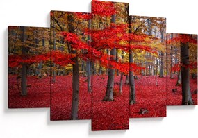 Kép - vörös erdő (150x105 cm)