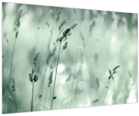 Kép - Zöld rét (90x60 cm)