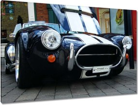 Festmények 120x80 Cobra 427