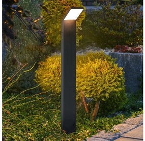 Brilagi Brilagi - LED kültéri lámpa RIANO LED/8W/230V antracit IP65 BG2287