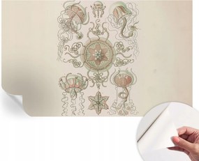 Design fali fotótapéta öntapadós víz alatti világ 416x254 cm