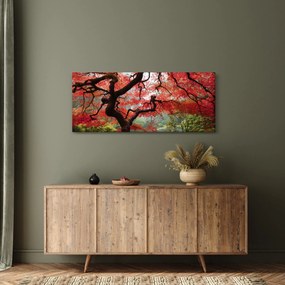 Red Japanese Maple, Portland, Oregon képe (120x50 cm)