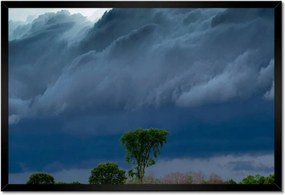 Poszterek keretben 60x40 Kukoricamező Fák