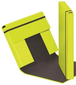 Füzetbox, A4, 40 mm, karton, PAGNA Trend, lime zöld (PG2130817)