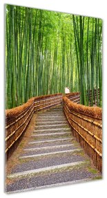Üvegfotó Bambusz erdő osv-81607376