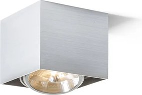 RENDL DEAN I česaný hliník 230V/12V G53 50W