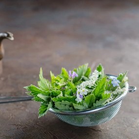 Orion rozsdamentes acél szűrő, 10 cm, 10 cm