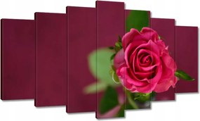 Vászonkép 140x80 Rózsa lila háttérrel
