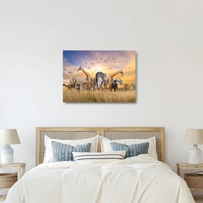Kép - Afrikai állatok (üvegen) (70x50 cm)