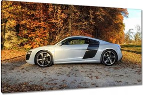 Vászonkép 120x70 Őszi Audi Autó