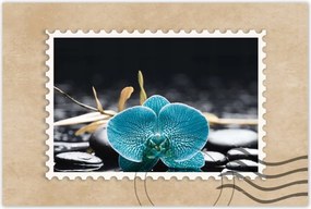 Poszter 60x40 Türkiz orchidea Virág