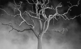 Flizelin tapéta falra Prémium ködös fa 416x254