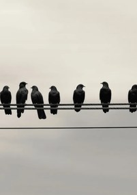 Poszter 29,7x42cm Konferencia a Magasságban