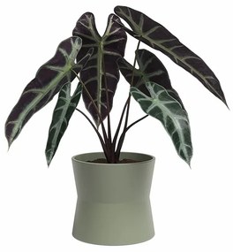 Kerámia virágcserép ø 14 cm Diana – Artevasi