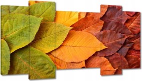 Vászonkép 120x65 Őszi színes levelek Levelek az ősz színeiben