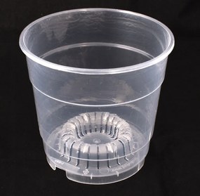 Átlátszó kaspó orchideához, színtelen 12cm 10db