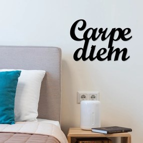 Carpediem fém fali dekoráció, 50×38 cm