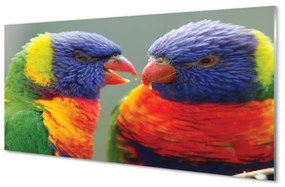 Üvegképek színes papagáj 100x50 cm