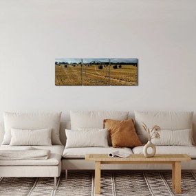 Betakarított gabona mező képe (órával) (90x30 cm)